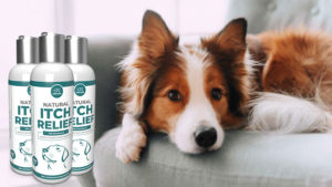 Natural Itch Relief