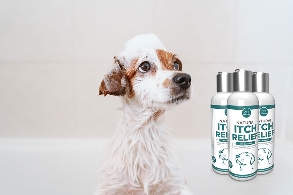 Natural Itch Relief Hund einschäumen